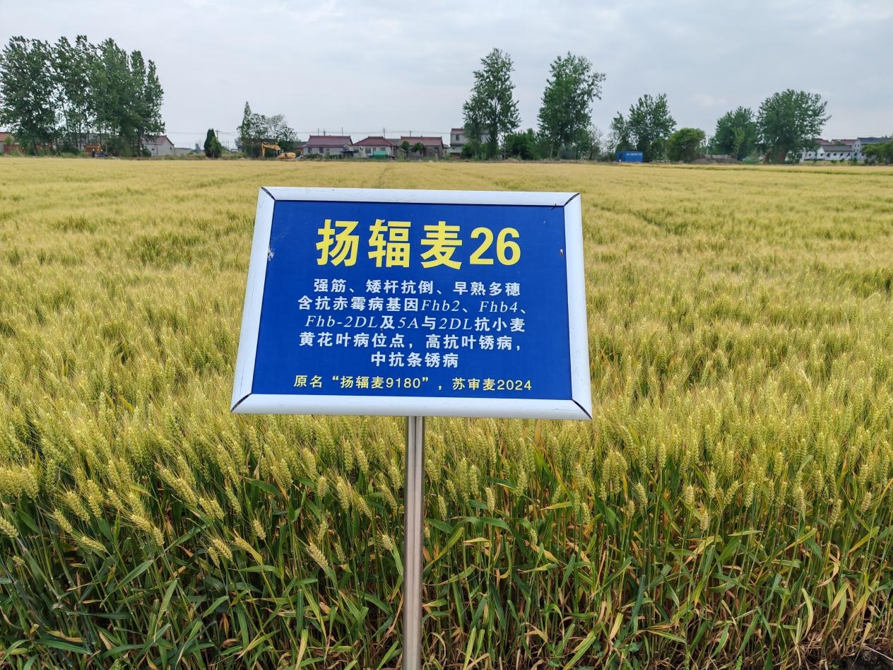 圖片2.jpg 圖片2.jpg